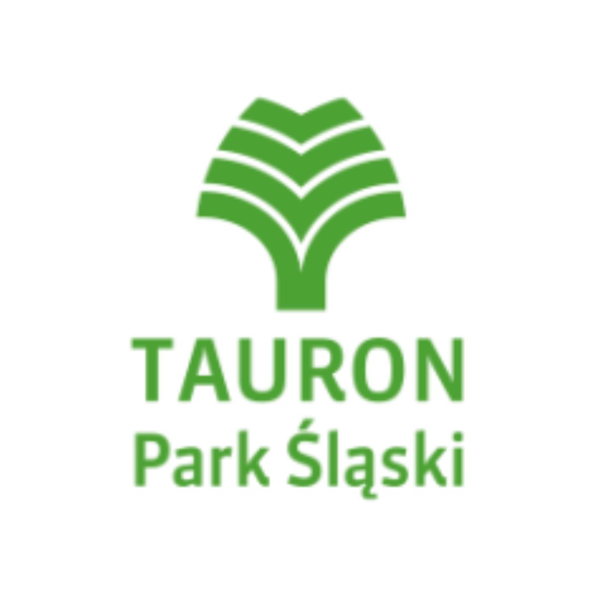 tauron park slaski